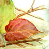 Aquarelle - Annick PROUX - Feuilles d'automne